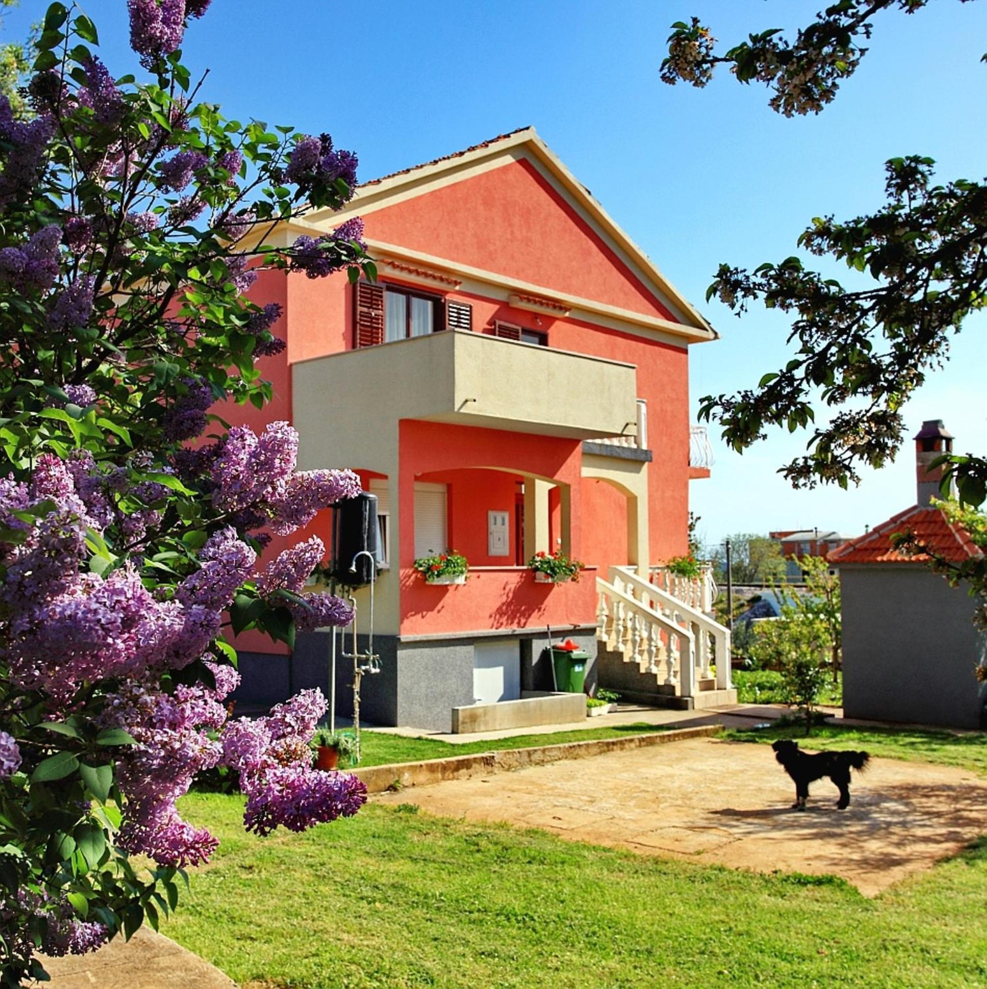 Apartments Soric Bibinje Kültér fotó